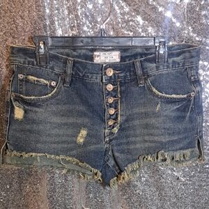 Free People Denim Shorts